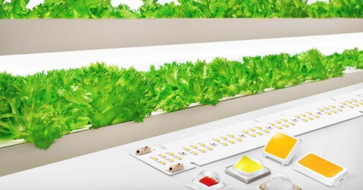 三星電子擴展了垂直農業的LED陣容